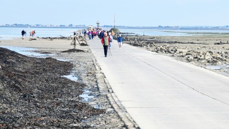 Sur le passage du Gois. Ici à marée basse.